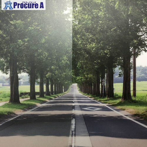 グリーンクロス ファサラ フロスト/マット SH2MACR-I マットクリスタル アイ 1524mmX30m 6300034369 1..