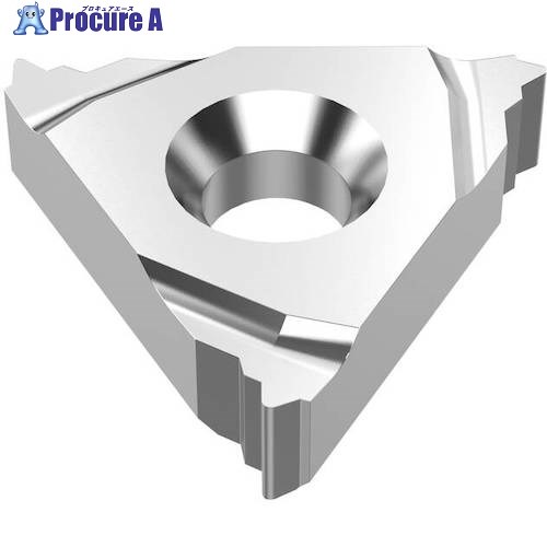 セコ 旋削用 ねじ切り用インサート H15 16ER20UNJ H15 10個 ■▼483-9087 【送料都度見積】