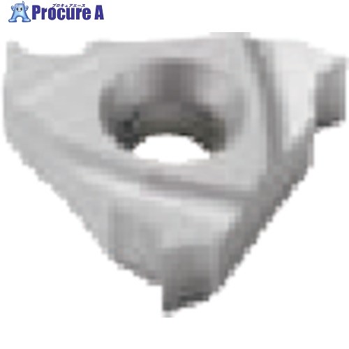 セコ 旋削用 ねじ切り用インサート H15 16ER11.5NPT H15 10個 ■▼484-6930 【送料都度見積】