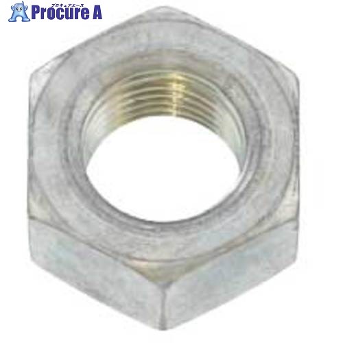 SUNCO 六角ナット(2種(B30 細目 M20ホソメ1.5(10本入り) M0-00-0104-0200-0000-00-10P 1パック ■▼491-3..