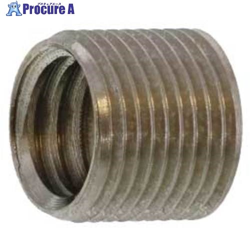 SUNCO ニッケル ROHS BSイリサート (P＝1.0 M6X12-E (100本入) N0-01-0THR-0060-1200-05 1箱 ■▼497-321..