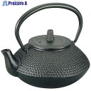 EBM IK 急須 宝山 0.54L 2048000 1個 ■▼499-3153 【送料都度見積】(3)