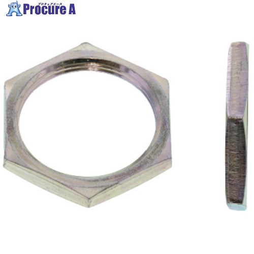 SUNCO ニッケル 管用ナット P＝0.75 M6X8X2 (2000本入) N0-00-0611-0060-0820-05 1箱 ■▼501-2258 【送..