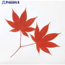 EBM ミリオンフィルムシート(1000枚入)紅葉 1312230 1個 ■▼510-5052 【送料都度見積】