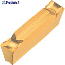 イスカル ドゥーグリップ 突っ切り加工用チップ DGN/DGNC/DGNM-C IC1028 DGN 6303C IC1028 10個 ■▼516-8911 【送料都度見積】 ●O585
