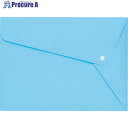 ライオン PPカラーホルダー ペールブルー CFー62P PB 13546 CF-62P PB(13546) 1冊 ■▼522-7422 【送料都度見積】