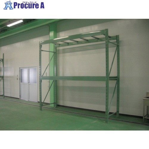 双福鋼器 パレットラック 1000kg 4000×2500×1100 ビーム2段 単体 ライトグリーン GP-14025D112TG 1台 ■▼526-0231 【送料都度見積】