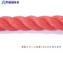 グリーンクロス ポリエチレンロープ 赤 5mm 200m巻 6300040532 1巻 ■▼530-3226 ※個人宅様送り不可