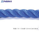 グリーンクロス ポリエチレンロープ 青 6mm 100m巻 6300040557 1巻 ■▼531-1142 ※個人宅様送り不可