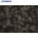 Merck アイソポア(ポリカーボネート製フィルター) HTTP02500 1式 ■▼555-0221 【送料都度見積】