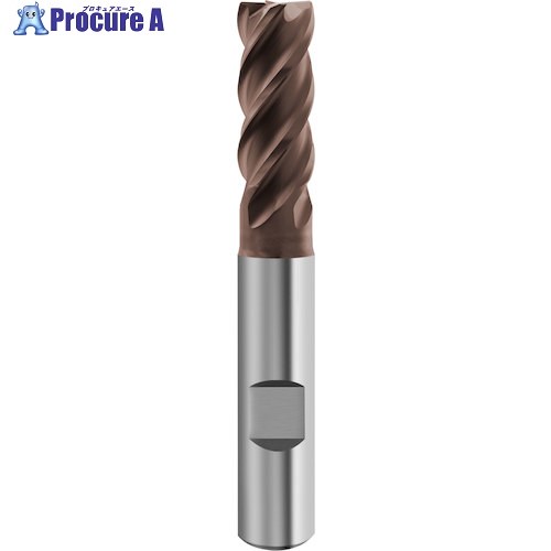 GUHRING 4枚刃不等リードエンドミル G-Mold 65 U レギュラ 20mm 6943 20.000 1本 ■▼584-7837 【送料都度見積】