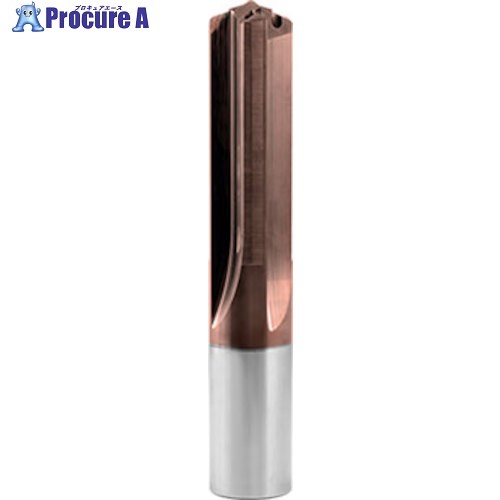 GUHRING 超硬4枚刃ドリル オイルホール付き VB 100 P 5xD 26mm 6045 26.000 1本 ■▼586-1732 【送料都度見積】