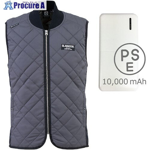 Ĭ G-8839 Ǯ㥱å 졼 L ХХåƥ꡼10000mAhå G-8839-GRAY-L 1 631...