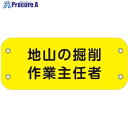 グリーンクロス ぴたっと腕章 110 地山の掘削作業主任者 6300051437 1枚 ■▼633-3199 ※個人宅様送り不可