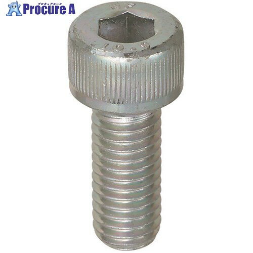 YAHATA 六角穴付ボルト 全ねじ 三価クロメート M8×65 0001051Y080065 10個 ■▼652-1629 【送料都度見積】