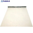 KOKUGO 帯電防止フィルム セイデンクリスタルフィルム 0.5t×1370mm×20M 107-17404 1巻 ■▼669-7203 【送料都度見積】