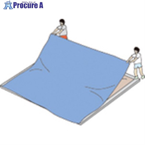 トーエイライト スポーツシート10×10M G1389 1枚 ■▼676-3929 【送料都度見積】