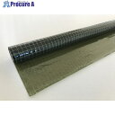 スワロン ハイパーカーテン 糸入 防虫オプトロングリーン 0.3mm×2050mm×10m巻(2cmます目) HCOPI03205010A2 1本 ■▼683-...