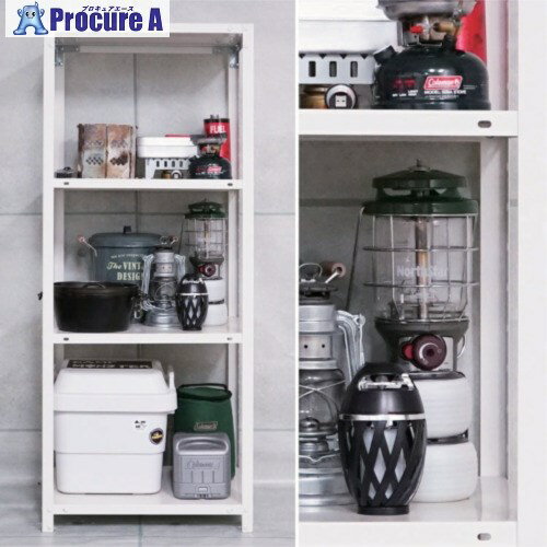 北島 スマートラック NSTR-137 3段 ブラック 600X450X600 51060013702 1台 ■▼697-0211