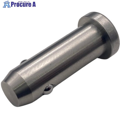 ラクテム ボールロックピン 極低頭タイプ Φ8-30 LPSL8-30 1個 ■▼697-7378 【送料都度見積】