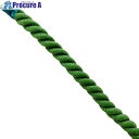 グリーンクロス エステルスパンカラーロープ 緑 10mm×100m 6300063347 1巻 ■▼698-5364 ※個人宅様送り不可