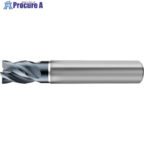 GUHRING 4枚刃エンドミル エクストラショート RF100Sharp Extra Short 4.8mm 6938 4.800 1本 ■▼701-2321...