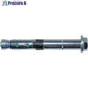 フィッシャー ボルトアンカー FH2 24/50 S (10本入) 44900 1箱 ▼779-3111