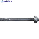 フィッシャー ボルトアンカー FAZ2 10/30 C4 (10本入) 503185 1箱 ▼779-4240