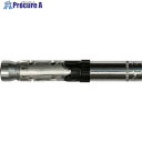 フィッシャー ボルトアンカー FH2 15/M12 I A4 (20本入) 519019 1箱 ▼779-5131