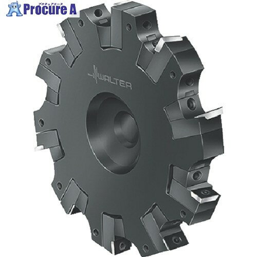 Walter サイドカッター F2252.BN.125.Z05.14.S685 1個 ■▼803-5815 【送料都度見積】 ●O585(4)