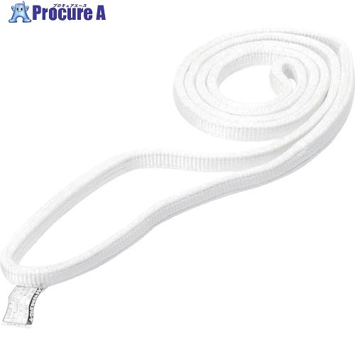 シライ ベルトスリング ケミカルスリング C1N(JIS1トウキュウ) エンドレス形 50mm幅×長さ0.75m C1N-50X0.75 1本 ■▼816-9511 【送料都度見積】