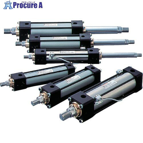 TAIYO 油圧シリンダ 100H-21SD80BB300-AB-Y 1個 ■▼829-4941