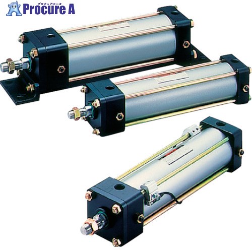 TAIYO 空気圧シリンダ 10A-2RLB80B250-AH2-S 1個 ■▼839-4726 【送料都度見積】