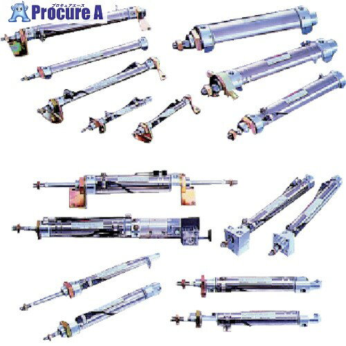 TAIYO 空気圧シリンダ 10Z-3FA40N300-AH2 1個 ■▼839-7131 【送料都度見積】