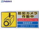 光 多国語防犯ステッカー (1枚入) SEC291-1 1枚 ▼781-2728