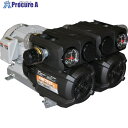ORION コンビネーション型ドライポンプ CBFシリーズ/モータ付 CBF2525-VB-01B 1台 ■▼705-7602