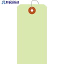 ササガワ カラー荷札 大 黄緑 一穴 25-145 1箱 ▼524-0935