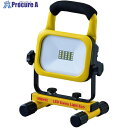 MEIHO 投光器 LEDサニーライトエコ1000ルーメン LED10B2 1台 ▼631-9222