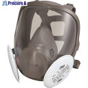 3M 取替式防じんマスク 6000F/2071-RL2 Mサイズ 6000F/2071-RL2M 1個 ▼795-2813