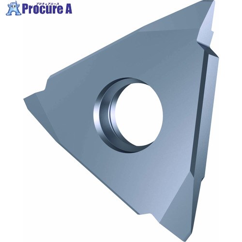 GUHRING ウィットねじ加工用 インサート さらい刃付き GG305.VW00.011.AA.04.L 25671 12.040 2個 ■▼708-4669...