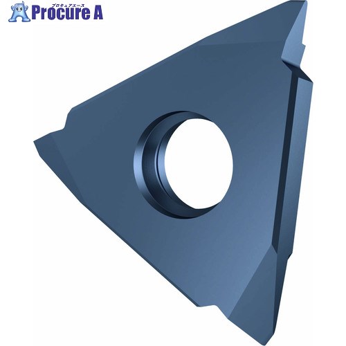 GUHRING 外径UNC/UNFねじ加工用 インサート さらい刃付き GG305.VU00.012.AA.04.R 25674 12.060 2個 ■▼708...