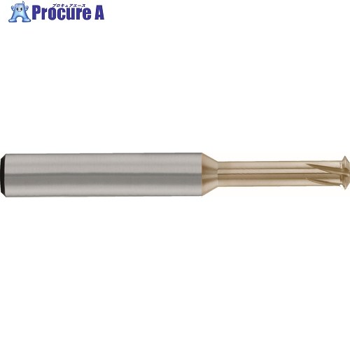 GUHRING スレッドミーリングカッタ メートル並目ねじ/細目ねじ 1山タイプ M1.2 4225 1.200 1本 ■▼710-0953 【送料都度見積】