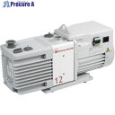 Edwards ロータリーポンプ RV12 単相100・200V 出荷時100V設定 A65501907 1台 ■▼707-2223 【送料都度見積】