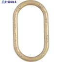 Crosby マスターリンク 基本使用荷重6.9t A342-22W 1個 ▼115-1493