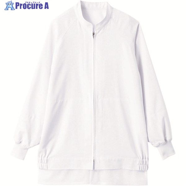 ڥå Ĺµѡ ʹ   ۥ磻 SS AQ-495-A9-SS 1 204-5006