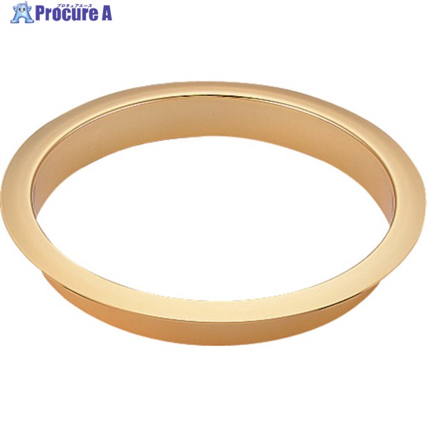 SUGATSUNE (210022103)AN-LH015-GP/ AN-LH015-GP 1 223-5973