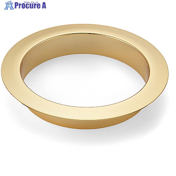 SUGATSUNE (210022100)AN-LH011-GP/ AN-LH011-GP 1 224-5571