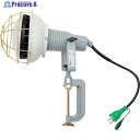 NICHIDO エコビックLED投光器50W 昼白色 E付0.3m AFL-E5000J 1台 ▼251-4363