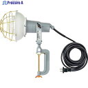 NICHIDO レフ球投光器 100V 300W 5m アースなし AF-305 100V 1台 ▼251-4434