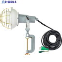 NICHIDO レフ球投光器 100V 300W 10m アース付 AF-E310 100V 1台 ▼251-4473